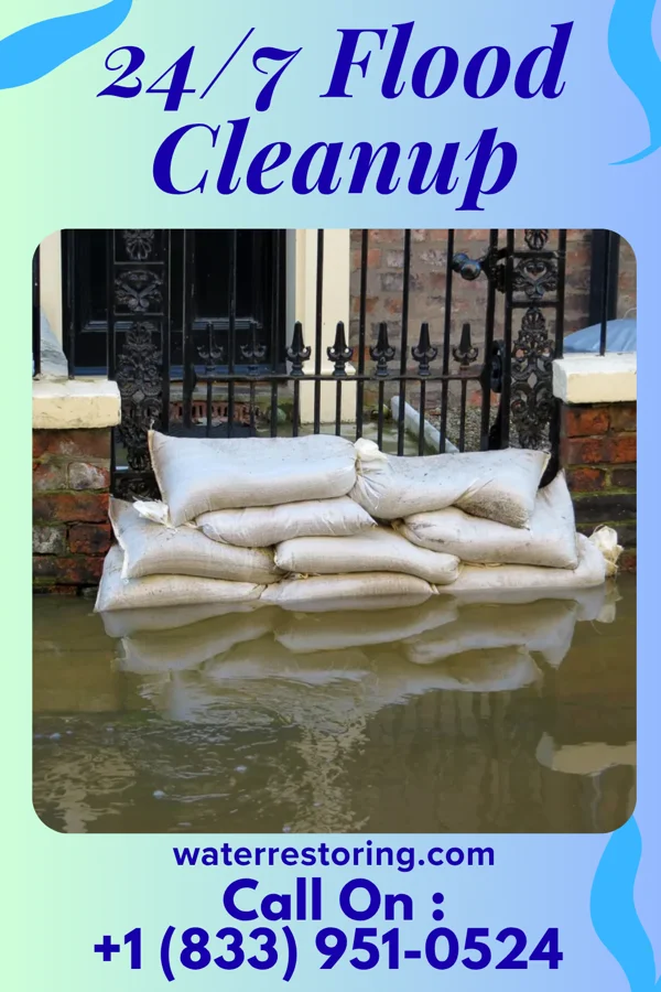 24/7 Flood Cleanup in Virgilina, VA