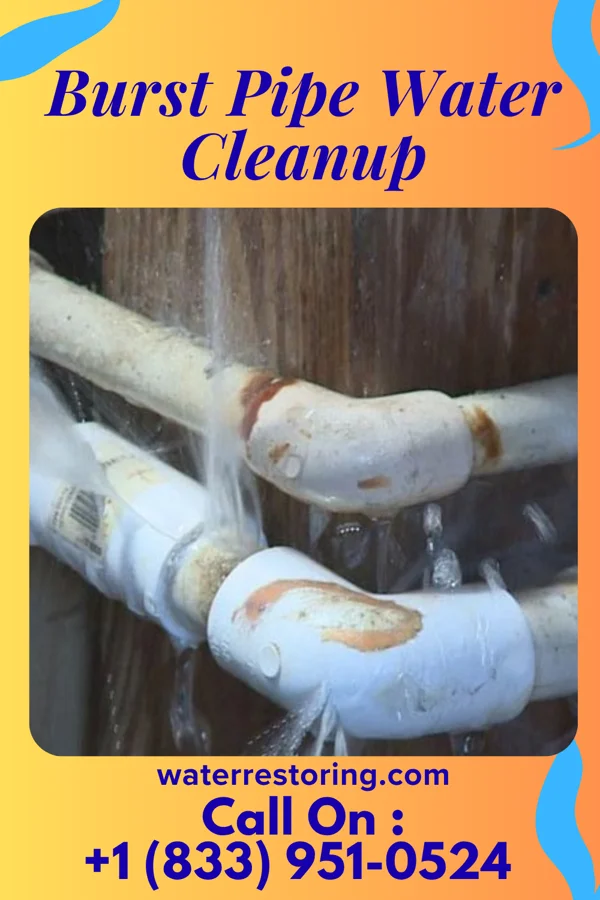 Burst Pipe Water Cleanup in Virgilina, VA
