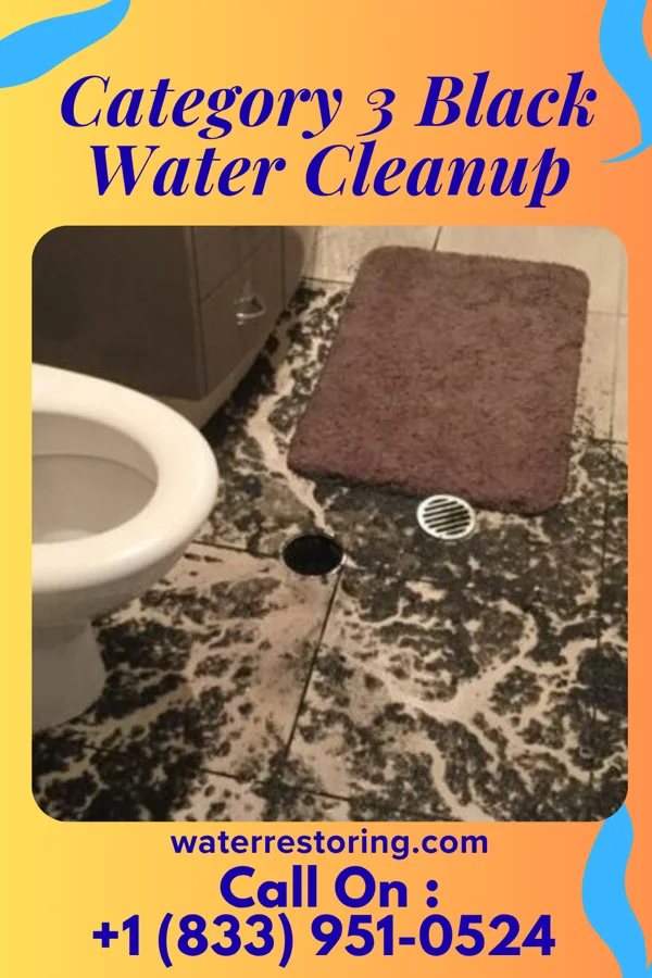 Category 3 Black Water Cleanup in Virgilina, VA