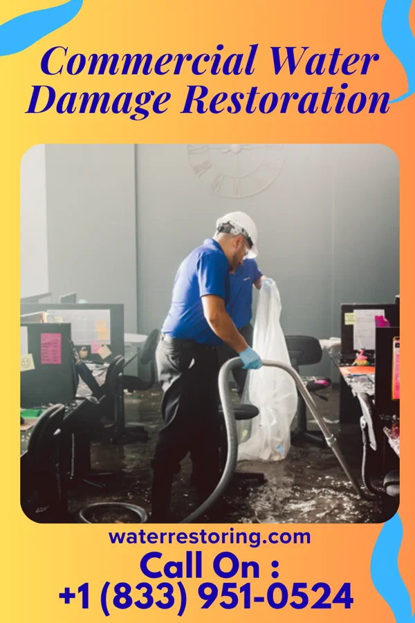 Commercial Water Damage Restoration in Virgilina, VA