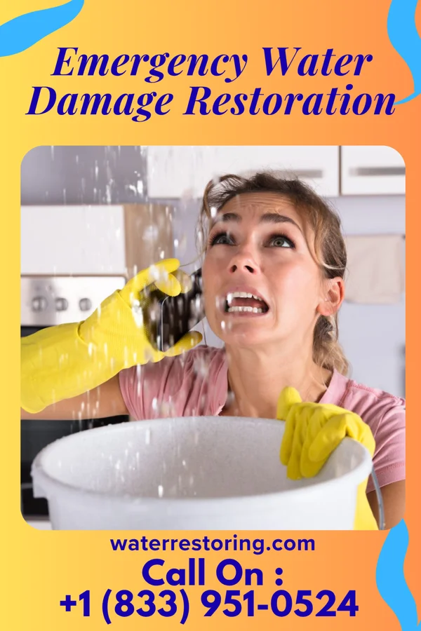 Emergency Water Damage Restoration in Virgilina, VA
