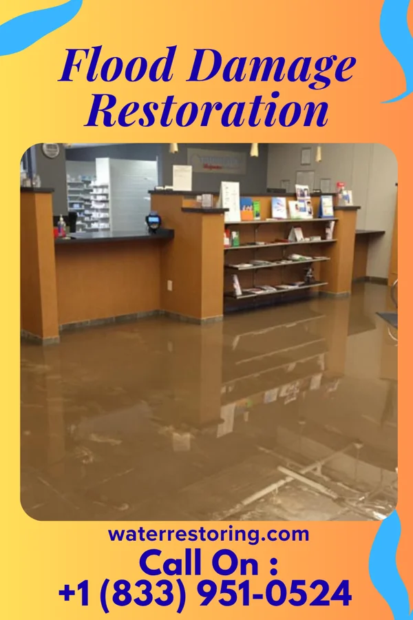 Flood Damage Restoration in Virgilina, VA