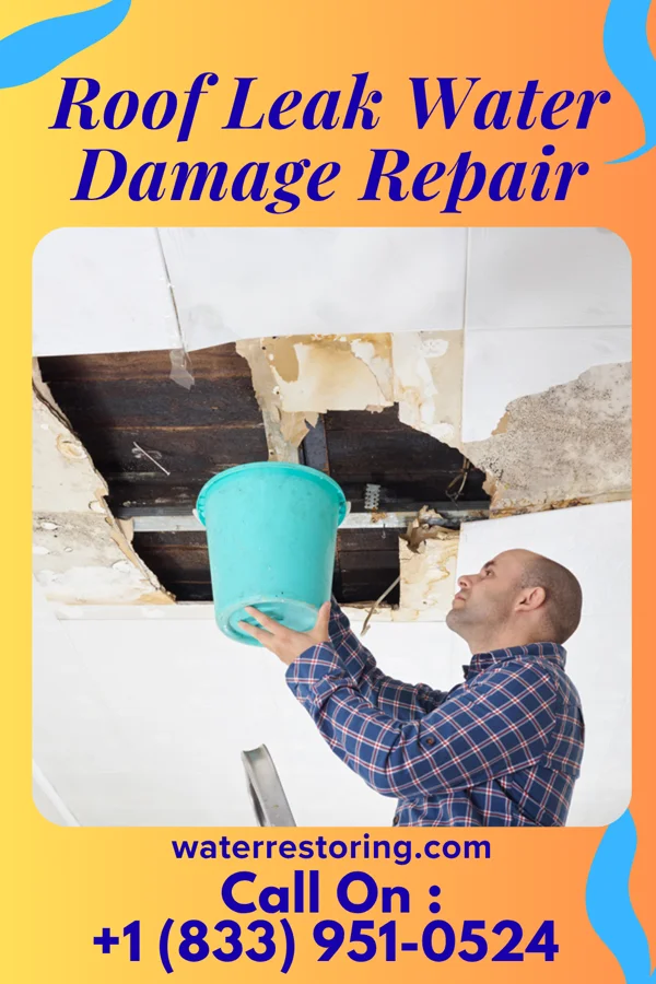 Roof Leak Water Damage Repair in Virgilina, VA