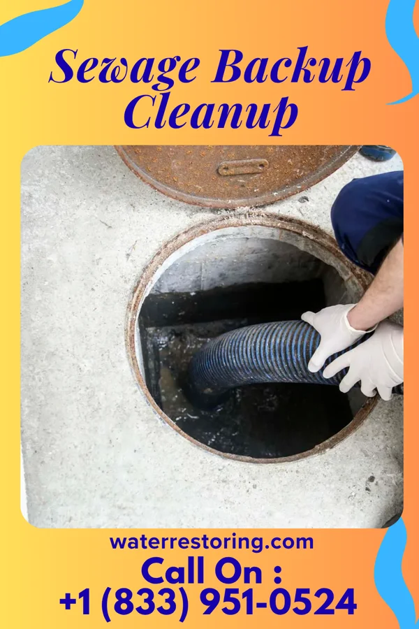 Sewage Backup Cleanup in Virgilina, VA
