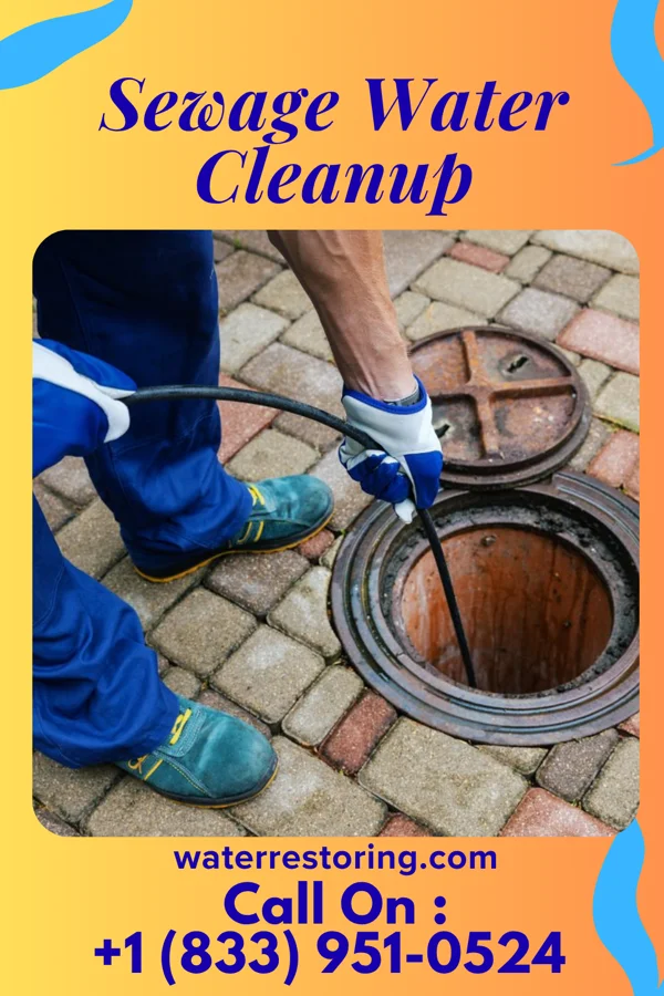 Sewage Water Cleanup in Virgilina, VA