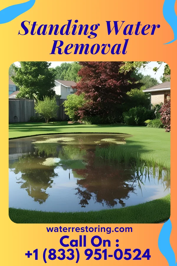 Standing Water Removal in Virgilina, VA